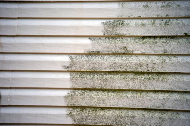 Affordable Siding Repair and Maintenance Services in Labelle, FL