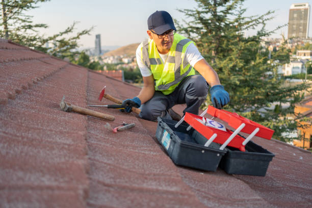 Siding Removal and Disposal in Labelle, FL